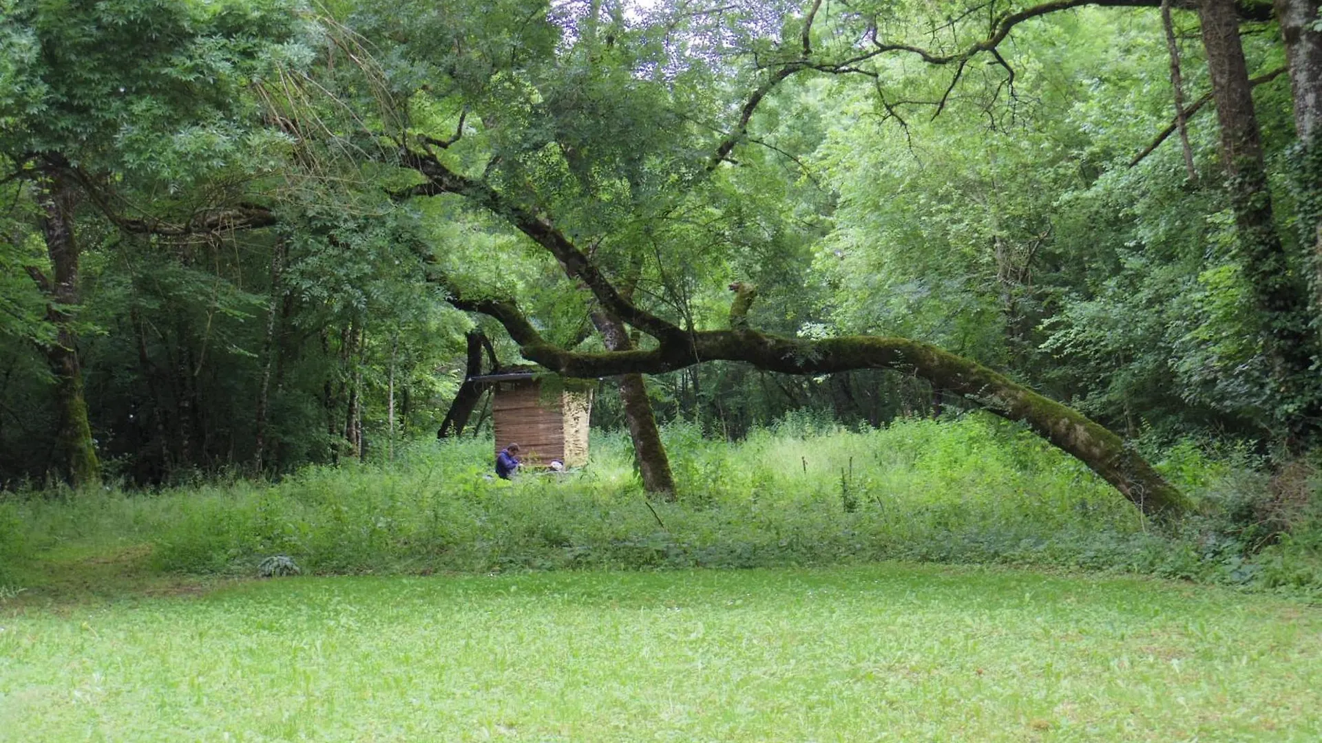 Permaculture Moulin De Gaudun Hotel Montreal  France