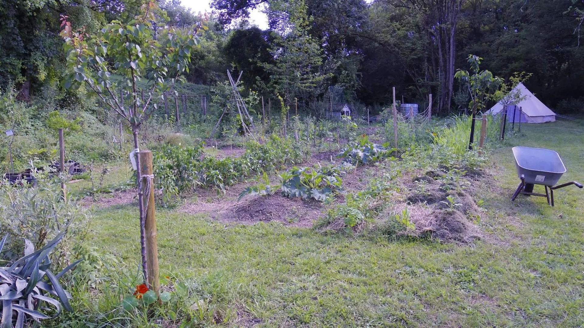 Permaculture Moulin De Gaudun Hotel Montreal  Campsite Montreal (Gers)